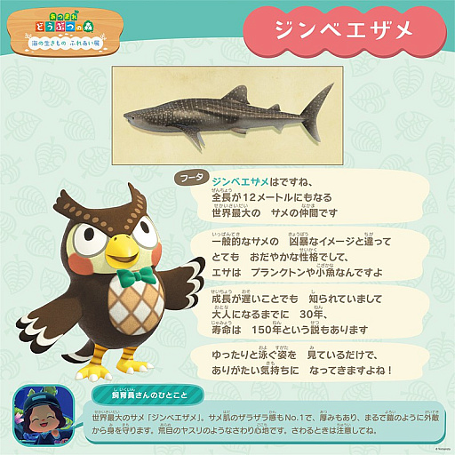 ���������꡼ No.005�Υ���ͥ������ / �֤��Ĥޤ� �ɤ��֤Ĥο��פΥꥢ�륤�٥�ȡֳ��Τ������ �դ줢��Ÿ�פ򤤤����ɤ������޿�²�ۤ�11��21�����鳫��