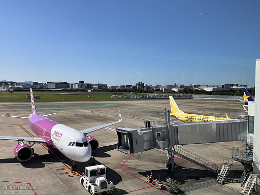 ꡼ No.001Υͥ / Žһ᤿Ƚ֥ޥ󥷥󥰺2025ƱԵԡˡͭĤȰΤǽвä"ð"Ȥ