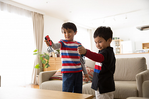 ���������꡼ No.038�Υ���ͥ������ / Nintendo Switch�����֤ʤꥭ�å��ѡ����ץ��꡼��3���ʤο��������