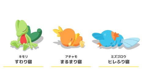 ꡼ No.005Υͥ / Pok&#233;mon Sleepס䥢⡤ߥλѤǧǤ2ǯǰΥꥢ륤٥ȤⳫŷ