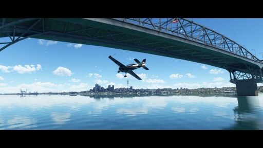 ˥塼ɤҤȤӡMicrosoft Flight SimulatorפΥɥåץǡ12ơNew Zealandۿ