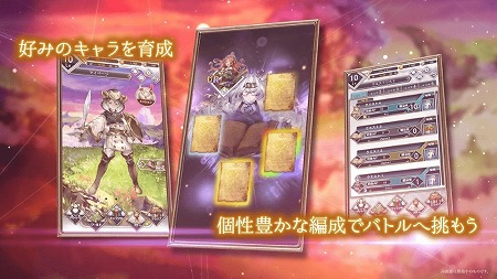 ���������꡼ No.005�Υ���ͥ������ / ̴����ѥ���RPG�֥��ꥢ��쥳���ɡס�������Ͽ���դ�����