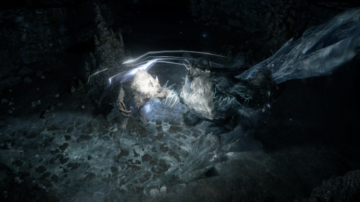 画像ギャラリー No.004のサムネイル画像 / 「Path of Exile 2」の次期アップデート「The Last of the Druids」最新情報公開。熊,狼,そしてワイバーンにもなれる新クラス「ドルイド」登場