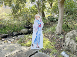 ���������꡼ No.010�Υ���ͥ������ / �������Ϥ��31A����ɤ��о�!?���֥إ֥�С��󥺥�åɡסߡ�˭��� ������ץ���ܥ��٥�ȥ�ݡ���