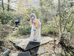 ���������꡼ No.011�Υ���ͥ������ / �������Ϥ��31A����ɤ��о�!?���֥إ֥�С��󥺥�åɡסߡ�˭��� ������ץ���ܥ��٥�ȥ�ݡ���