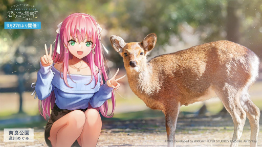 ꡼ No.002Υͥ / ˥塩֥إ֥Х3.5thեݡȡڡ緿åץǡȾޤȤ