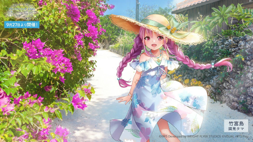 ꡼ No.005Υͥ / ˥塩֥إ֥Х3.5thեݡȡڡ緿åץǡȾޤȤ