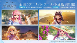 ꡼ No.006Υͥ / ˥塩֥إ֥Х3.5thեݡȡڡ緿åץǡȾޤȤ