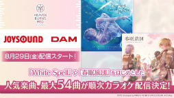 ꡼ No.011Υͥ / ˥塩֥إ֥Х3.5thեݡȡڡ緿åץǡȾޤȤ