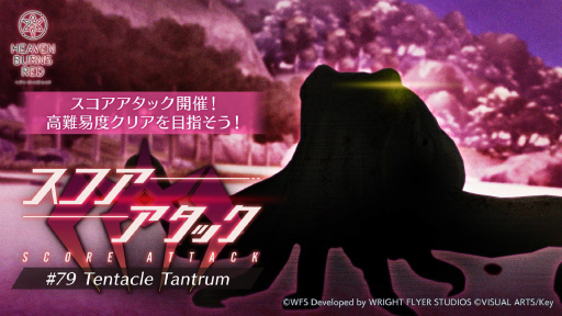 ꡼ No.051Υͥ / ˥塩֥إ֥Х3.5thեݡȡڡ緿åץǡȾޤȤ