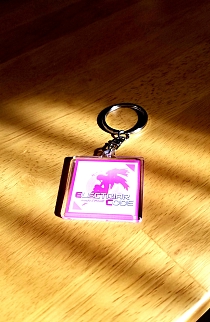 ���������꡼ No.005�Υ���ͥ������ / �֥��쥯�ȥꥢ�����ɡפ������������󥸥���Ÿ�����ꡣ��ͷ�ץ쥤�ȥ��å������»�