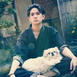 ���������꡼ No.010�Υ���ͥ������ / �֥ɥ饴�󥯥����� ������������ -�����-�ס��Ⲧ���ؤ�Ŭ������Ǥ��륵���Ȥ������ץ�