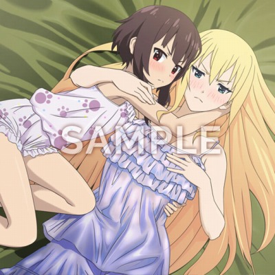 ���������꡼ No.012�Υ���ͥ������ / �֤��������餷�������˽�ʡ�� ��������˾�ΰ����������򡪡��פΥ��٥��CG��Ź������ŵ������