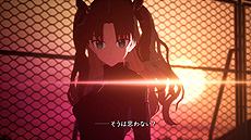 TYPE-MOON studio BBFate/EXTRA RecordʲΡˡפγȯưȯɽ10ǯо줷Fate/EXTRAΥեᥤ