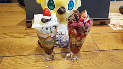 ���������꡼ No.021�Υ���ͥ������ / ��NGS�ץ��ե��١֥��������ե��ɥ��åץ����Х� ������ץ�ݡ��ȡ��������ӥ����ˤ���ͥ�β� ����Ϻ���������ͼ�ᤵ��餬�о�