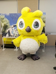 ���������꡼ No.023�Υ���ͥ������ / ��NGS�ץ��ե��١֥��������ե��ɥ��åץ����Х� ������ץ�ݡ��ȡ��������ӥ����ˤ���ͥ�β� ����Ϻ���������ͼ�ᤵ��餬�о�