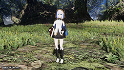 ���������꡼ No.010�Υ���ͥ������ / ��NGS ver.2�ס��С������饤�С����롼�ס֤ˤ����󤸡פȤΥ������3�Ƥ򳫺�