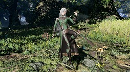 画像ギャラリー No.013のサムネイル画像 / 「NGS ver.2」,レベルアップした期間限定緊急クエスト「星滅の予兆D.2」を追加