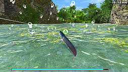 Reel Fishing: Road Trip Adventure