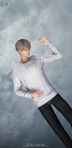 ꡼ No.050Υͥ / ȿVer.4.0ֿθϤβˡץ꡼̴Τ褦ʥץݡ˿̤ݡ