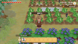 ���������꡼ No.006�Υ���ͥ������ / ���Ҿ�ʪ�� ���꡼�֥�����ȴ�˾�����ϡס��ȥ������ѥ󥷥�󡦥ѥ���3�Ƥ��ۿ�����