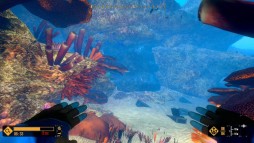 ���������꡼ No.001�Υ���ͥ������ / �֥ǥ����ץ����ӥ󥰥��ɥ٥���㡼�פθ��������Ȥ����������ץ�33�󥪥դǹ����Ǥ���ͽ��������