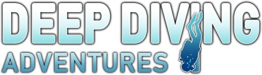 ���������꡼ No.006�Υ���ͥ������ / �֥ǥ����ץ����ӥ󥰥��ɥ٥���㡼�פθ��������Ȥ����������ץ�33�󥪥դǹ����Ǥ���ͽ��������