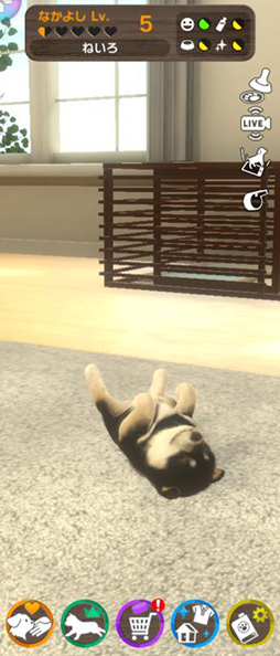 ޥ۸ڥåȰSLGwith My DOG - Ȥ餽 -ס215ۿ190ʾλҸо