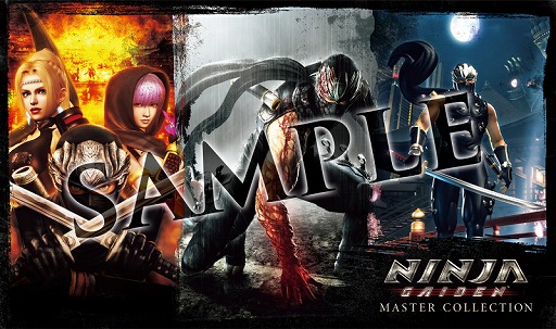 NINJA GAIDEN: ޥ쥯פΥҲȥ쥤顼ȥ饯Ҳԡɤ奦ϥ֥Ρ䵻ɤо