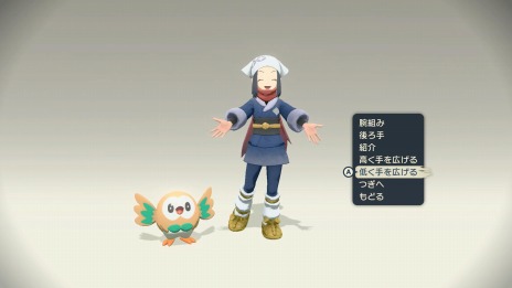 Pok&#233;mon LEGENDS 륻ץҥ©륭󥰡ξ󤬸ưϰϤȥݥ饤ɡɤо