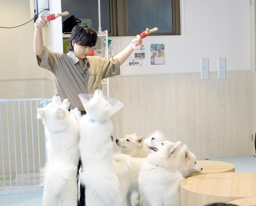 ���������꡼ No.018�Υ���ͥ������ / ��MISSION��GO5�������ԡ���GOALOUS5�Υ��С������å���䥵�⥨�ɥ��ե�����ʳƮ!?���ǿ��ɥ��CDȯ���ǰ����