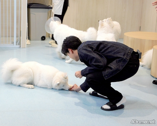 ���������꡼ No.019�Υ���ͥ������ / ��MISSION��GO5�������ԡ���GOALOUS5�Υ��С������å���䥵�⥨�ɥ��ե�����ʳƮ!?���ǿ��ɥ��CDȯ���ǰ����