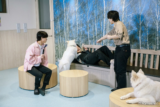 ���������꡼ No.024�Υ���ͥ������ / ��MISSION��GO5�������ԡ���GOALOUS5�Υ��С������å���䥵�⥨�ɥ��ե�����ʳƮ!?���ǿ��ɥ��CDȯ���ǰ����