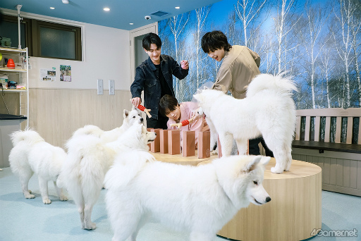 ���������꡼ No.025�Υ���ͥ������ / ��MISSION��GO5�������ԡ���GOALOUS5�Υ��С������å���䥵�⥨�ɥ��ե�����ʳƮ!?���ǿ��ɥ��CDȯ���ǰ����