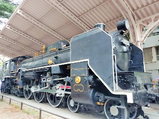 ���������꡼ No.011�Υ���ͥ������ / ��������˷�ʲ��ԥ��ߥ���Τ��Ԥ򤪤���ݡ����ꥢ�륤�٥�ȡ�Pikmin Bloom Journey 2025��������θ���ݡ���