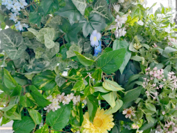 ���������꡼ No.017�Υ���ͥ������ / ��������˷�ʲ��ԥ��ߥ���Τ��Ԥ򤪤���ݡ����ꥢ�륤�٥�ȡ�Pikmin Bloom Journey 2025��������θ���ݡ���