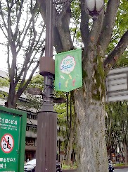 ���������꡼ No.022�Υ���ͥ������ / ��������˷�ʲ��ԥ��ߥ���Τ��Ԥ򤪤���ݡ����ꥢ�륤�٥�ȡ�Pikmin Bloom Journey 2025��������θ���ݡ���