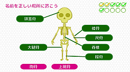 BodyQuest - ܥǥ