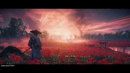 Ghost of Tsushima Director's CutפPS5PS4˸820ȯءˤΤοʪڤ