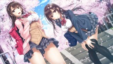 ���������꡼ No.009�Υ���ͥ������ / ����ADV�֥��������פ�Switch�Ǥ�12��23���˥�꡼�����ꡣ�������������Ǥ�Ź������ŵ�ξ��󤬸���