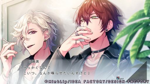 ���������꡼ No.036�Υ���ͥ������ / �Υץ쥤��ݡϡ�DIG-ROCK -Documentary of Youthful Sounds-��̩����Ǹ�������CD�ȤϤҤ�̣�㤦�Ǵ�