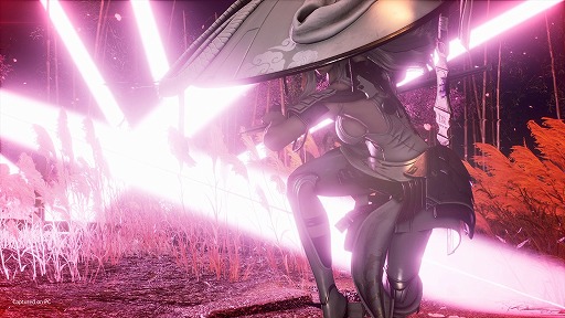 ꡼ No.018Υͥ / Υץ쥤ݡϡStellar BladeסߡNIKKEDLCۿϡ塼ХȥϡȤο򥯥ꥢƥܥ塼褦