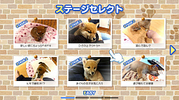 ツクールシリーズ 柴めくり