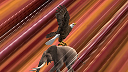 ����ɴ������ ���˥ޥ륫������