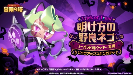 ꡼ No.005Υͥ / ֥å緿åץǡȺǿ󡣿å֥å٥꡼̣ԥ󥺥쥤ɤо