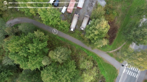 ���������꡼ No.002�Υ���ͥ������ / ʪ���ϥѥ��륲�����IDEA�פ�ȯ������3��9�����ѹ���Switch�Ǥζ�����꡼��������