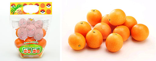 ���������꡼ No.004�Υ���ͥ������ / �֥ʥå����꥾���� in ���ɤߤ䤶����KONNE��2��8����9���˳��š��ʥå����ȤΥ��꡼�ƥ��󥰤䥳��ܾ��ʤ�����ʤɤ�ͽ��