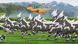 ���������꡼ No.016�Υ���ͥ������ / ���˥�֥�����塼�Ȥ椦�Ӥ�䤵���ͽ���ԡ����̼̿���������ء�����˼���Ρ�Pokémon Presents�פ�2��27��23��00�˼»ܷ���