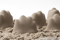 ���������꡼ No.006�Υ���ͥ������ / ̵�¤˥᥿���Υ��륨�åȤ����߽Ф����Metamon Cup�ʥ᥿��󥫥åסˡס�5��10���������򳫻�