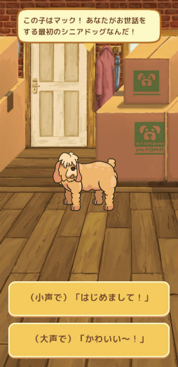 ���������꡼ No.002�Υ���ͥ������ / Ϸ���ȤϿ����ˤ������ͧ�����֥�����ɥե�󥺡��ɥå�������פ���������Ϸ���ۡ���Ǥη�䤫������